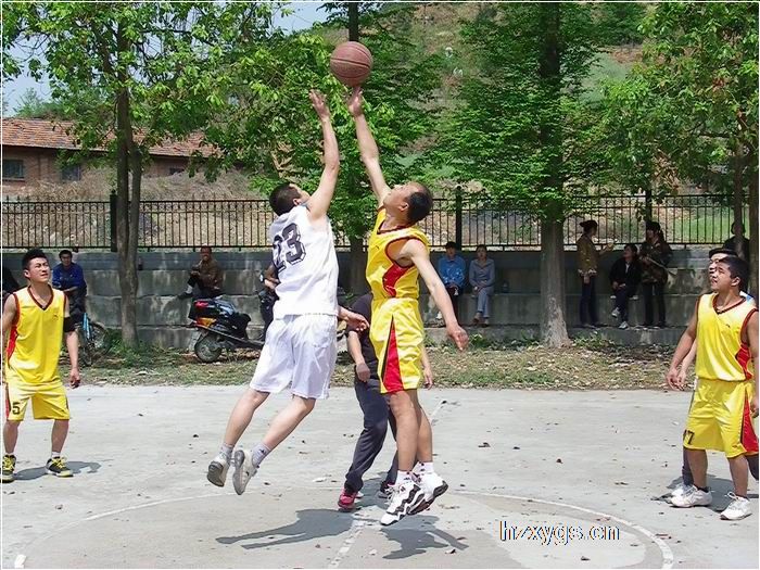 點擊查看放大圖